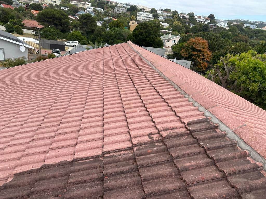 Roof Cleaning