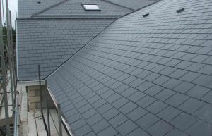 The roof doctor (10)