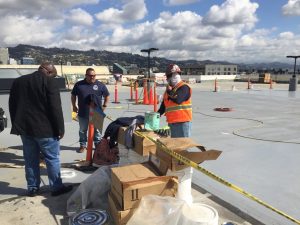The roof doctor (2)