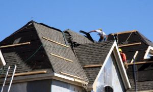The roof doctor (9)