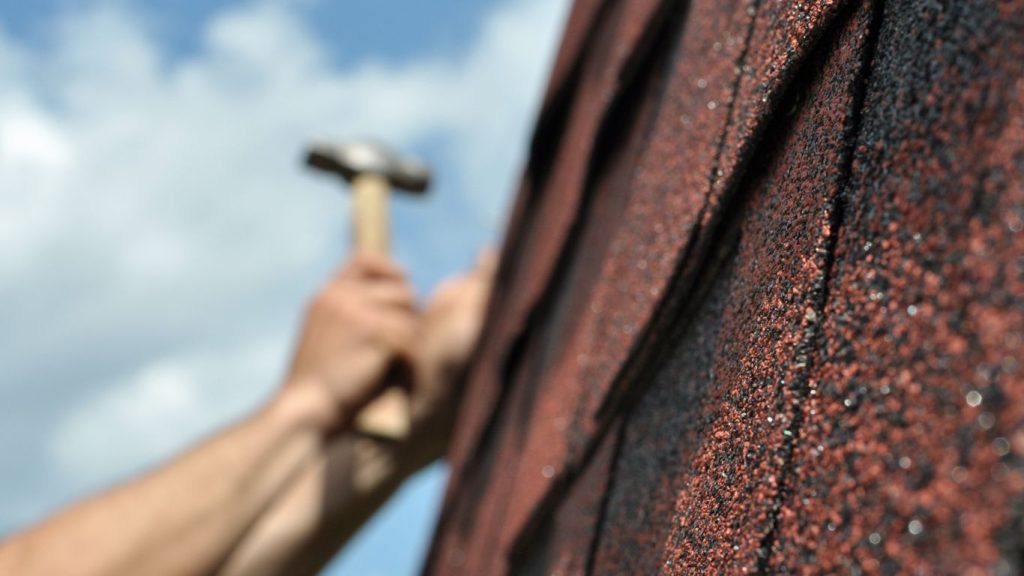 The Roof Doctor Knysna green roof systems experts