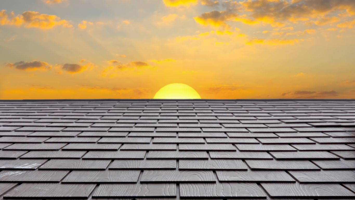 The Roof Doctor’s Green Roof Systems in Knysna and Plettenberg Bay
